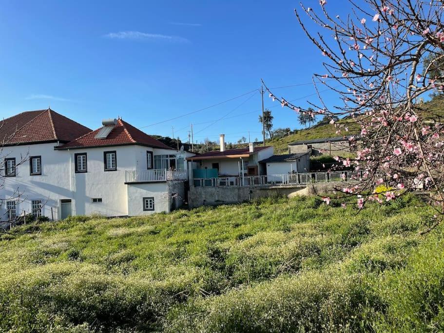 Casa Da Celeste Maljoga de Proenca Exterior foto